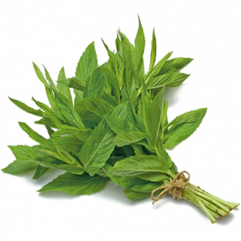 Basil (bundle)