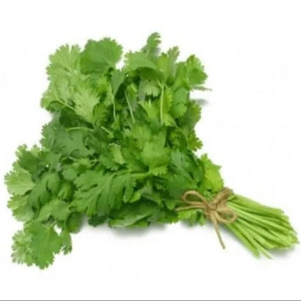 Coriander (bundle)