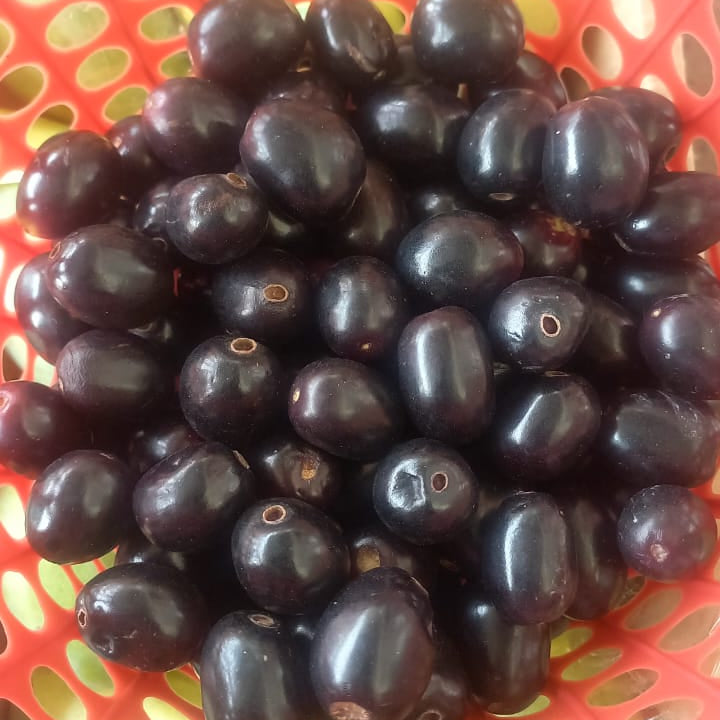 (Pre-Order) Jamun (Java Plum) Pakistan (800 - 900g)