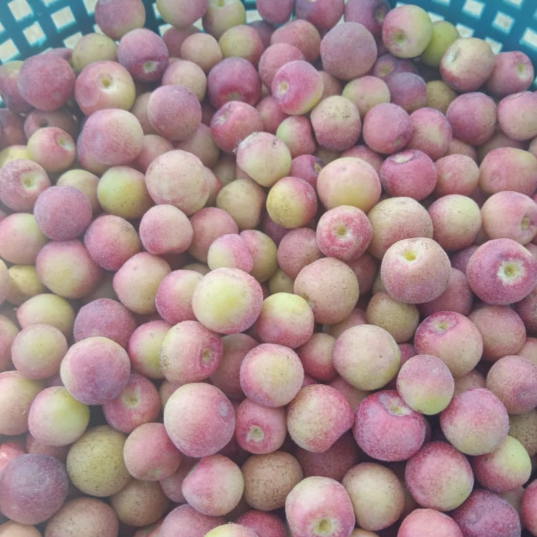 Falsa (Phalsa) Berry Pakistan 1 kg basket