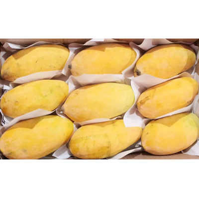 Mango Sindhri Pakistan 2 kg box (6 to 9 mangoes / box)