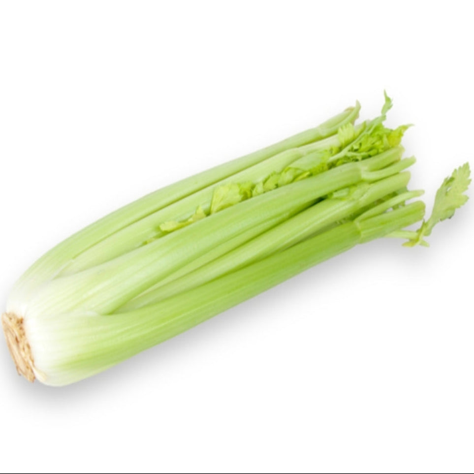 Celery American (bundle)