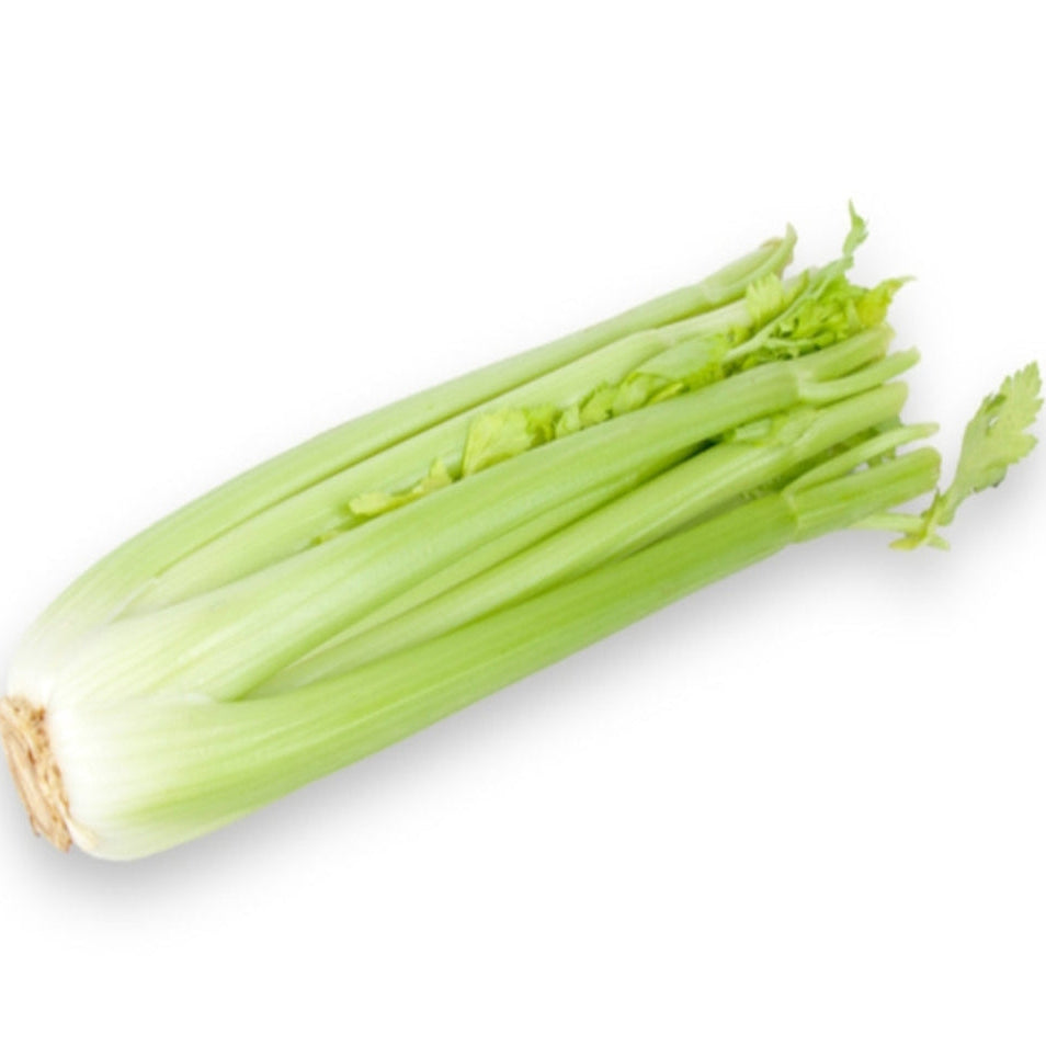 Celery American (bundle)