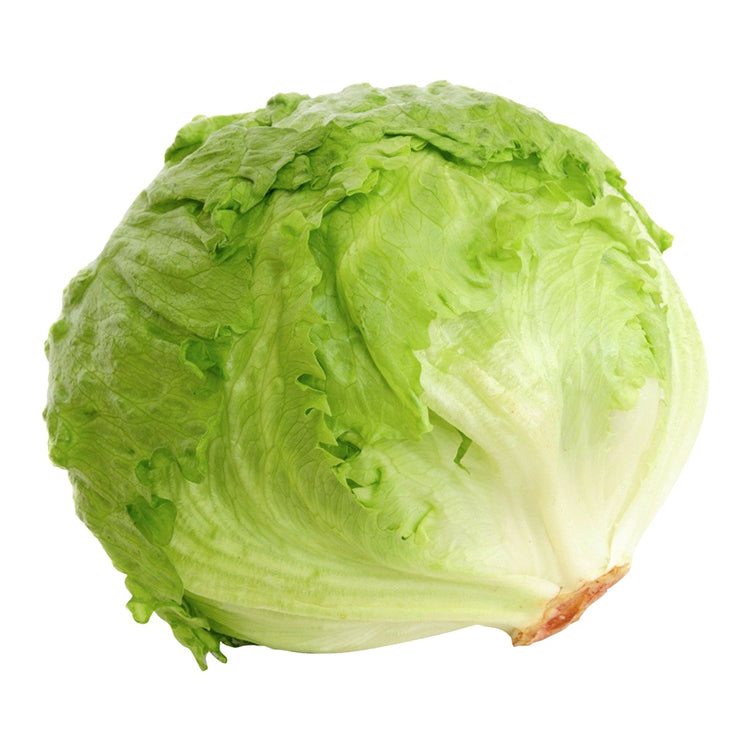 Lettuce Iceberg Egypt per piece