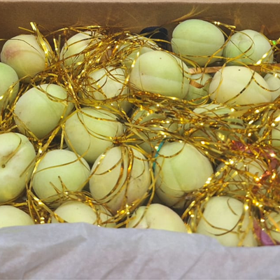 Apricot (Khobani) Pakistan 1 kg box