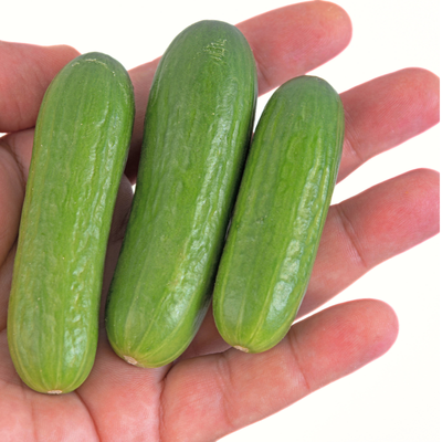 Mini Cucumber 100g pack