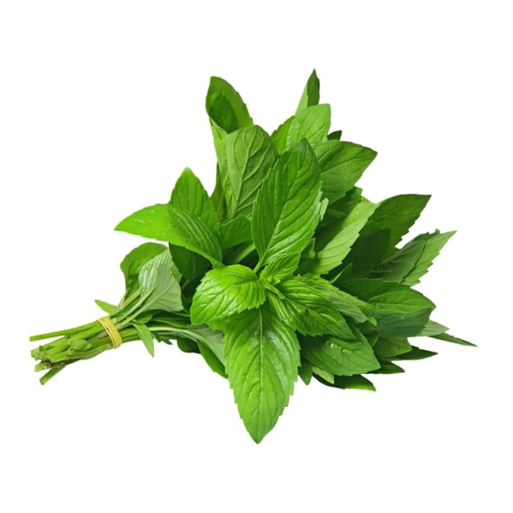 Mint (bundle)