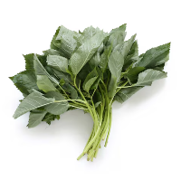 Molokhia (bundle)