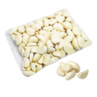 Garlic Black Solo Fermented China 200g