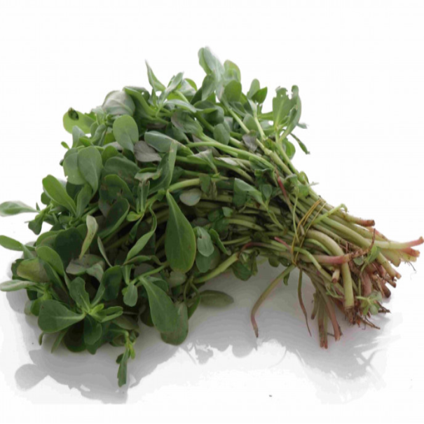 Rijla (bundle)