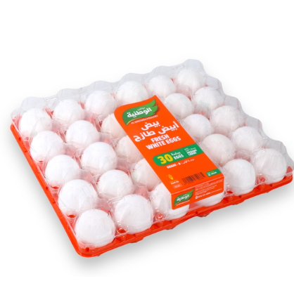 Watania Eggs 30p