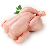 Poultry
