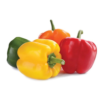 Vegetables