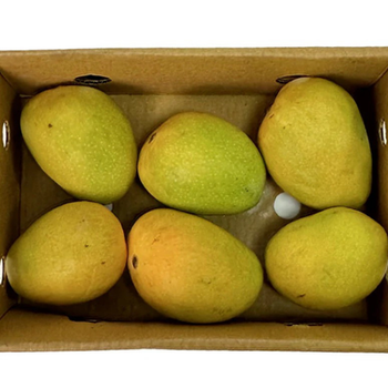 Alphonso box