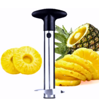 Pineapple Corer and Slicer 1 pc