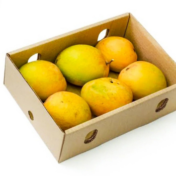 Box of mangoes on a white background