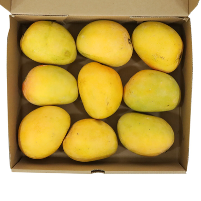(Pre-Order) Mango Alphonso India 2 kg box