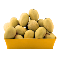 Mango Anwar Ratol Pakistan 2 kg box