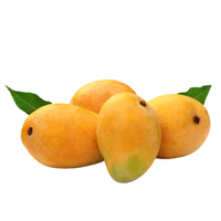Mango Chaunsa Pakistan 2 kg box (6 to 9 mangoes / box)