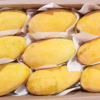 Mango Chaunsa Pakistan 2 kg box (6 to 9 mangoes / box)