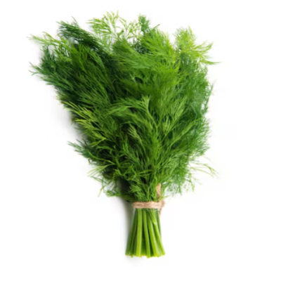 Dill