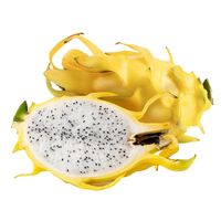 Dragon Fruit Yellow (piece)