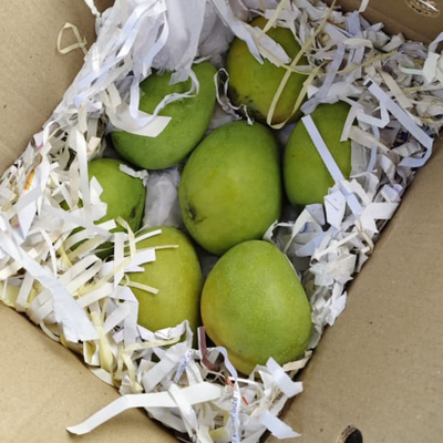 (Pre-order) Mango Kesar 2kg Box