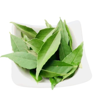 Curry Leaves 1 pack