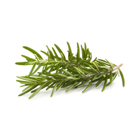Rosemary 1 pack
