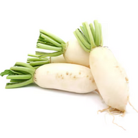 White Radish